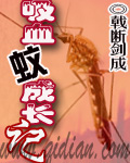 ��Ѫ�óɳ���