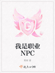 ����ְҵNPC
